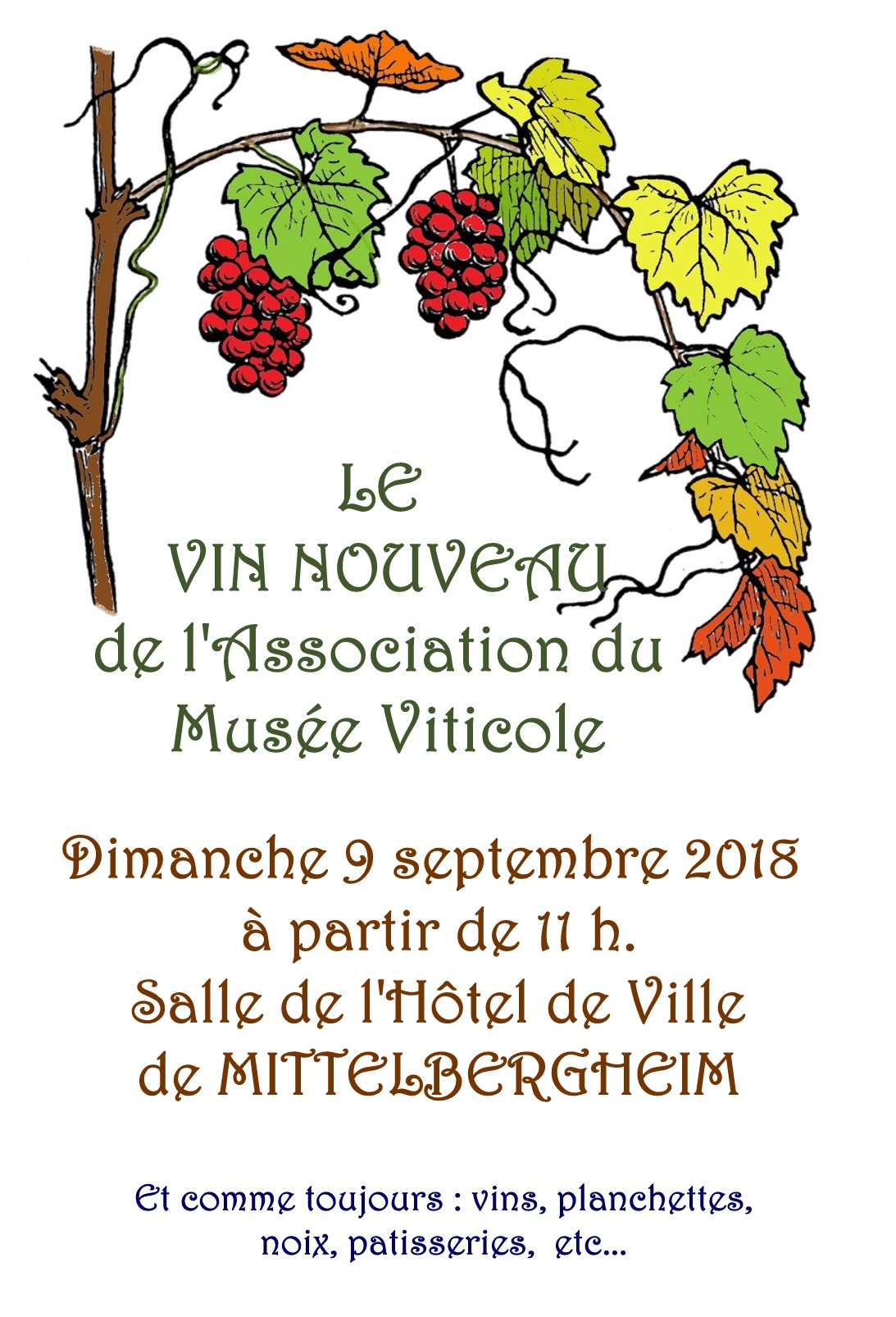 Le Vin Nouveau à l'Association du Musée Viticole